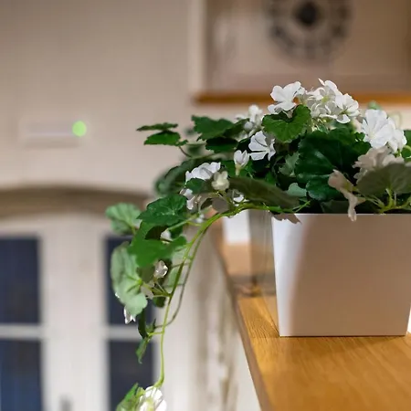 Superior 2 Bedroom Gabriela דוברובניק