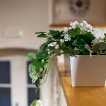Superior 2 Bedroom Gabriela Dubrovnik
